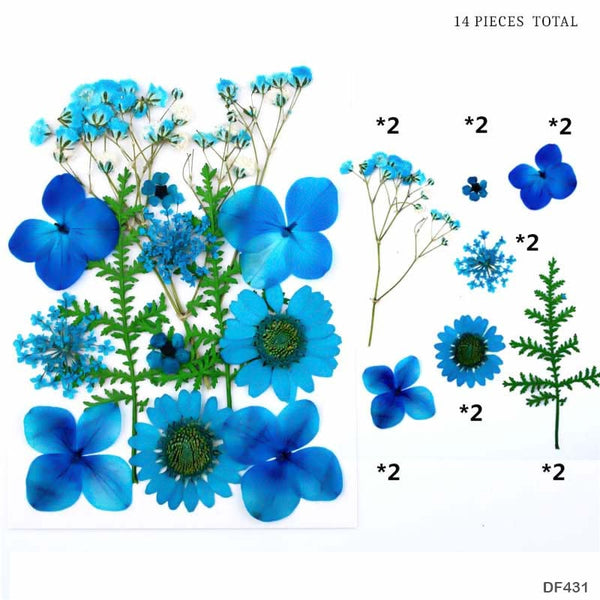 Dried Pressed Flowers for Resin Art,Scrabooking etc.(Light Blue Color)