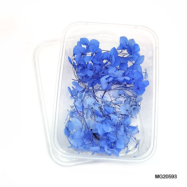 Dried Flowers for Resin India