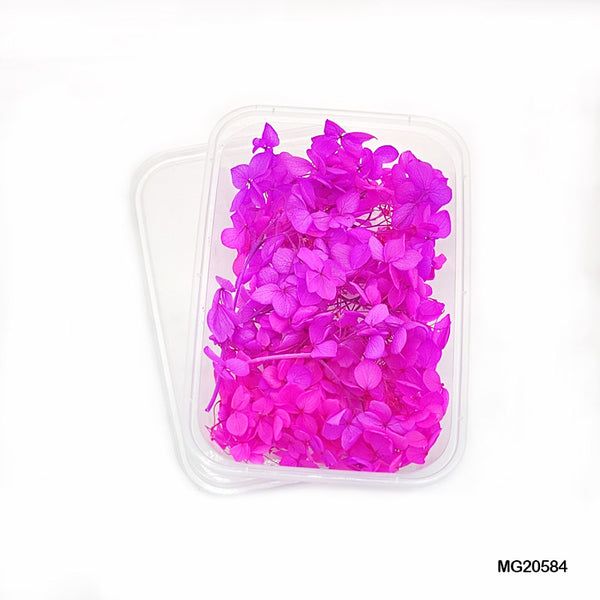 Dried Flowers for Resin near me