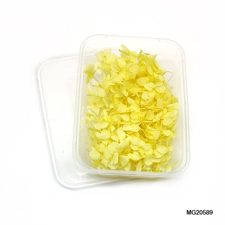 dry flowers for resin art