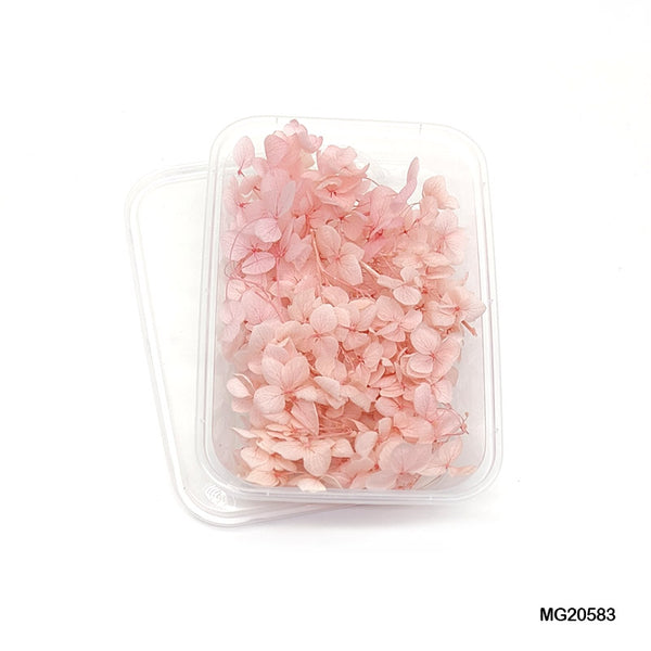 Dried Flowers for Resin near me