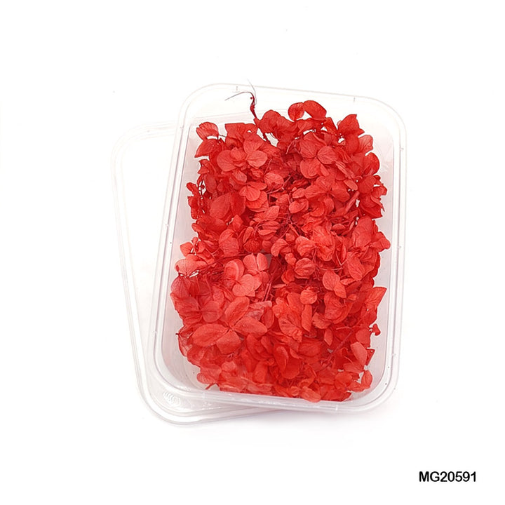 Dried Flowers for Resin Wholesale India