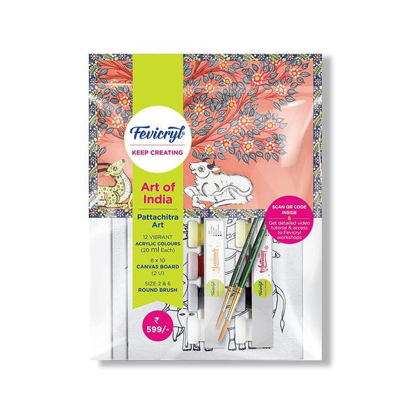 fevicryl diy kits