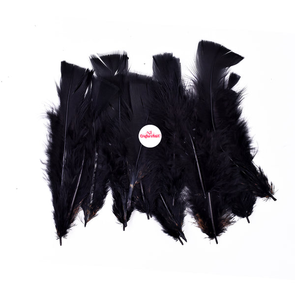 Natural Dyed Feather 10 to 15 CM Long (Black Color)