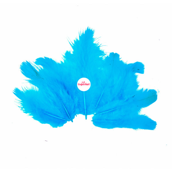 Natural Dyed Feather 5 to 10 CM Long (Light Blue Color)