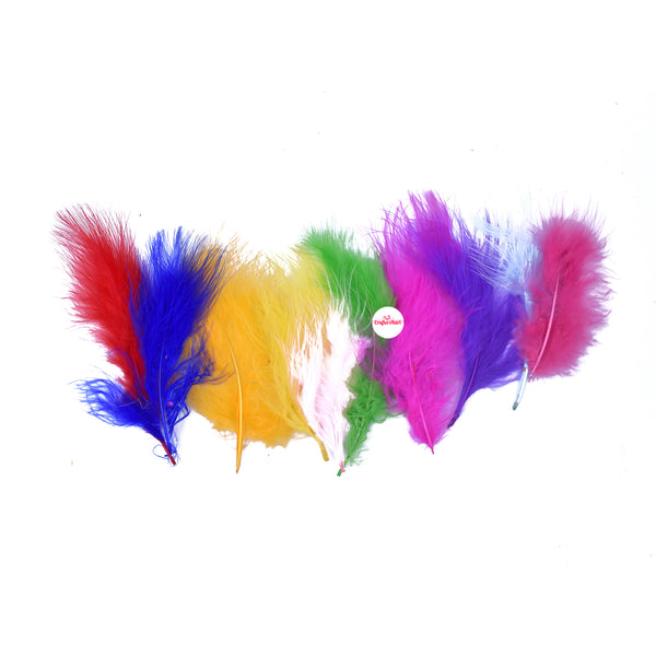 Natural Dyed Feather 10 to 15 CM Long (Multi Color)