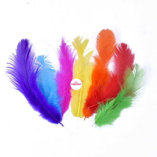 Natural Dyed Feather 5 to 10 CM Long (Multi Color)