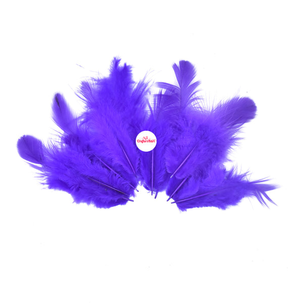 Natural Dyed Feather 5 to 10 CM Long (Violet Color)