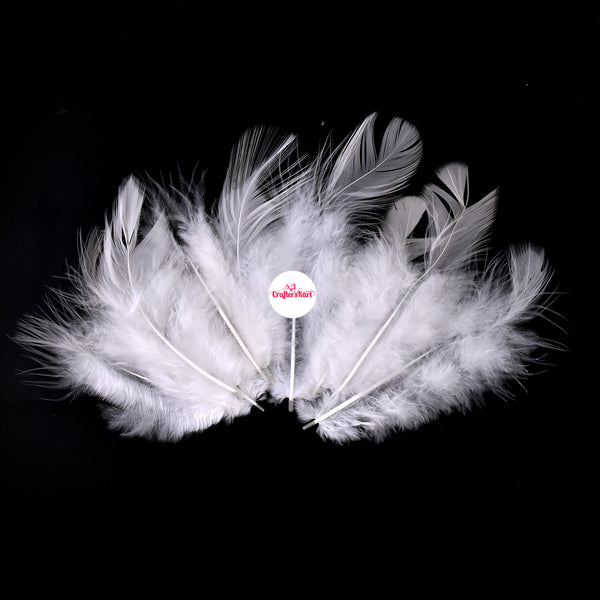 Natural Dyed Feather 5 to 10 CM Long (White Color)