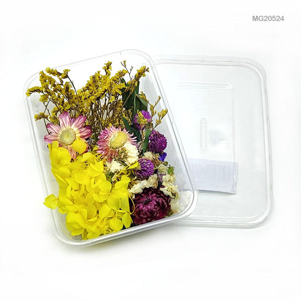 Wholesale Dried Flowers for Resin