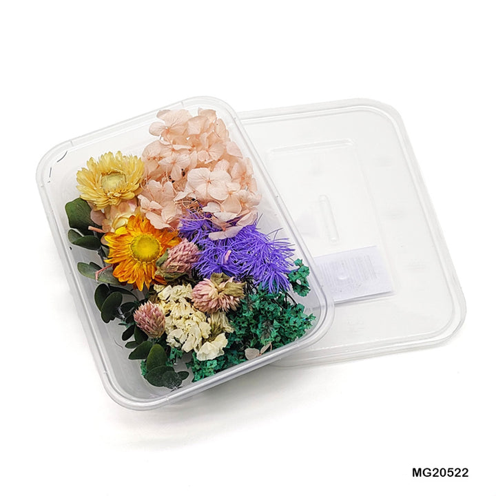 Wholesale Dried Flowers for Resin