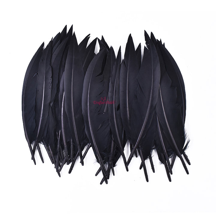 Natural Dyed Feather 8 to 10 CM Long (Black)