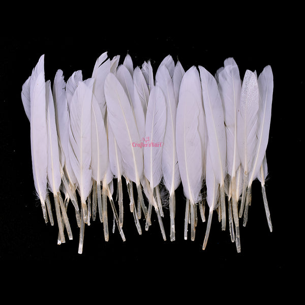 feathers for crafts